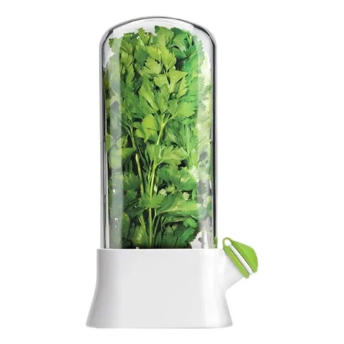 Recipiente almacenamiento para verduras